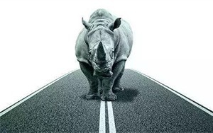 臣通觀點(diǎn)丨小心，中國(guó)產(chǎn)業(yè)園區(qū)的“灰犀牛”又來(lái)了！